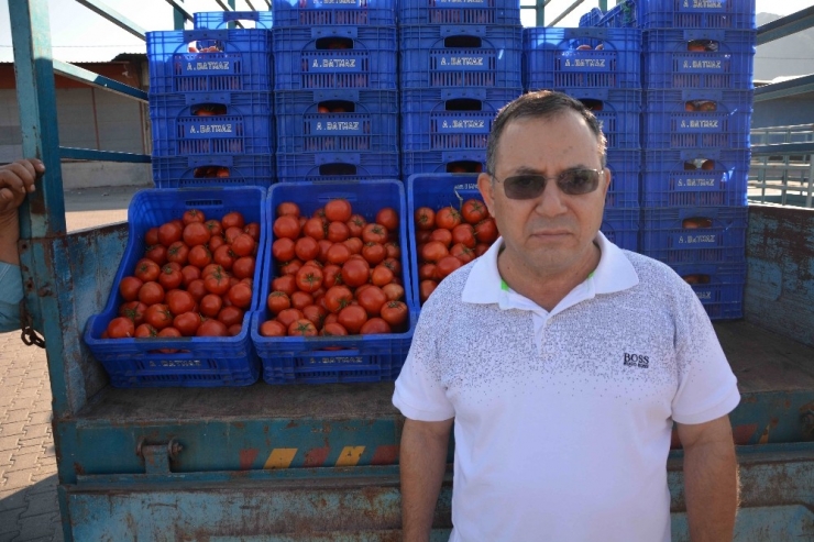 Domates Üreticisi Fiyattan Dertli