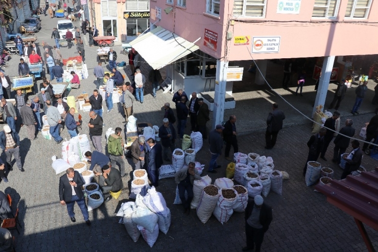 Natürel Kayısı, Üreticisinin Yüzünü Güldürdü