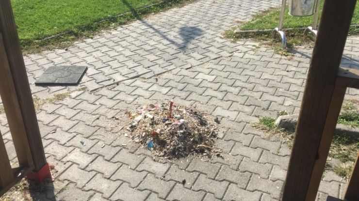 Parklar Çöplüğe Dönmesin