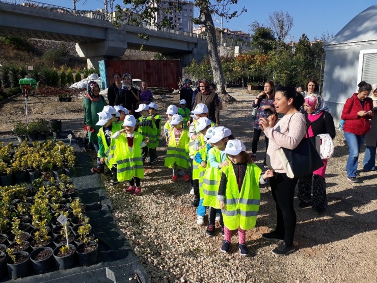 Minik Öğrenciler Bitki Ve Çiçek Üretim Serasını Ziyaret Etti