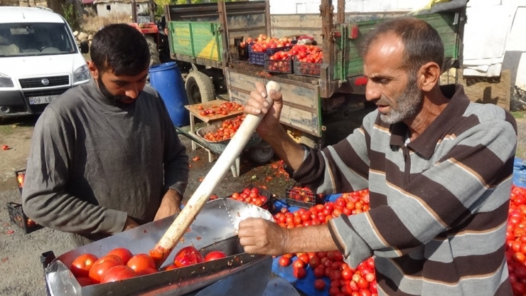 Domatesi Elinde Kalan Üretici, Çareyi Salça Yapmakta Buldu