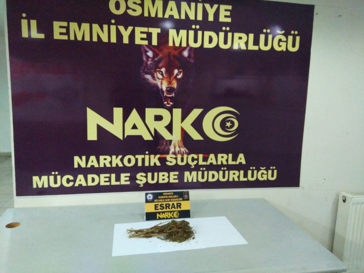 Osmaniye’de Uyuşturucuya Geçit Yok