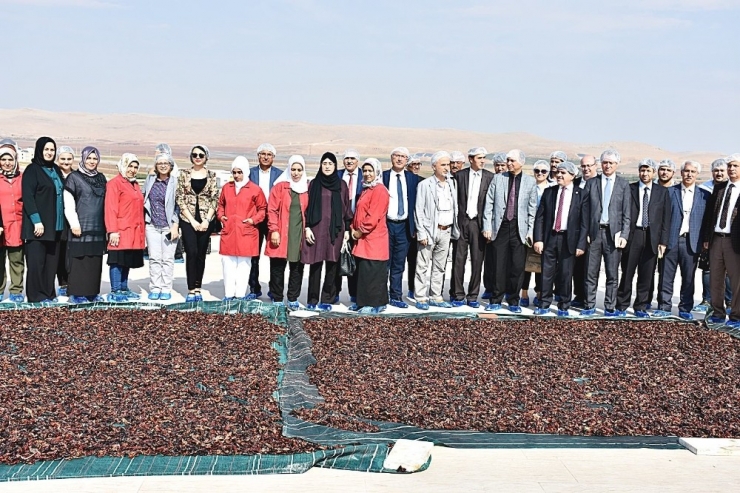 Şanlıurfa Teknokent İstihdama Yönelik Projelerle Öne Çıkıyor