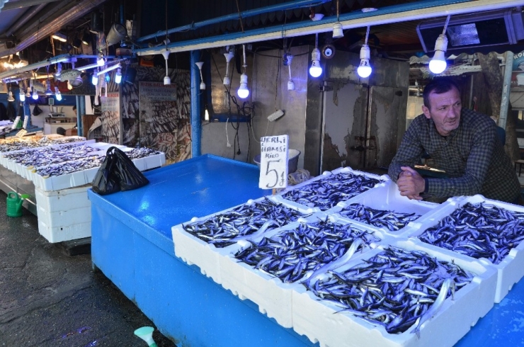 Hamside Son Yılların En Bereketli Dönemi Yaşanıyor