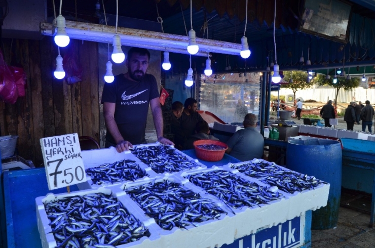 Hamside Son Yılların En Bereketli Dönemi Yaşanıyor