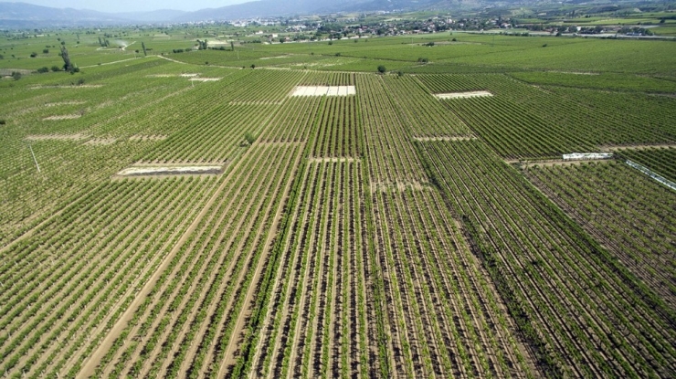 Alaşehir Ovası’nı Coşturacak Proje