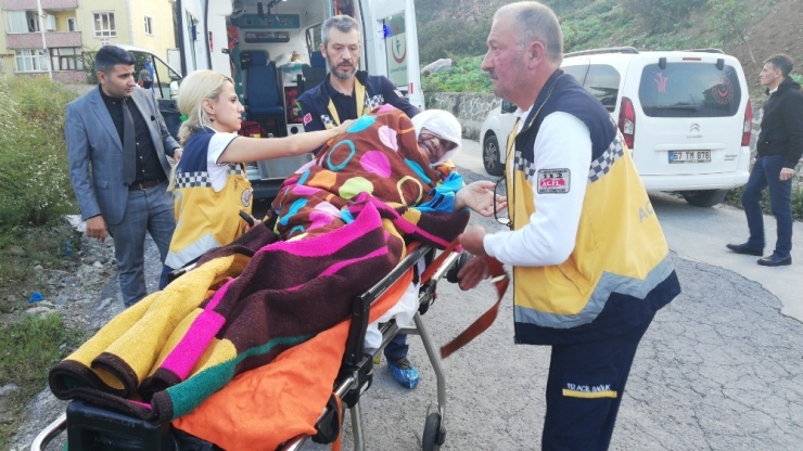 Bakıcısı Tarafından Dövüldüğü İddia Edilen Kadın Huzurevine Yerleştirildi