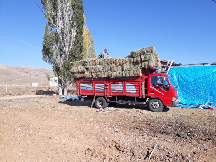 Ot Çaldıkları İddia Edilen Zanlılar Yakalandı