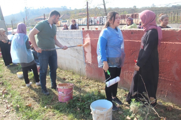 Üniversiteliler Okul Boyadı