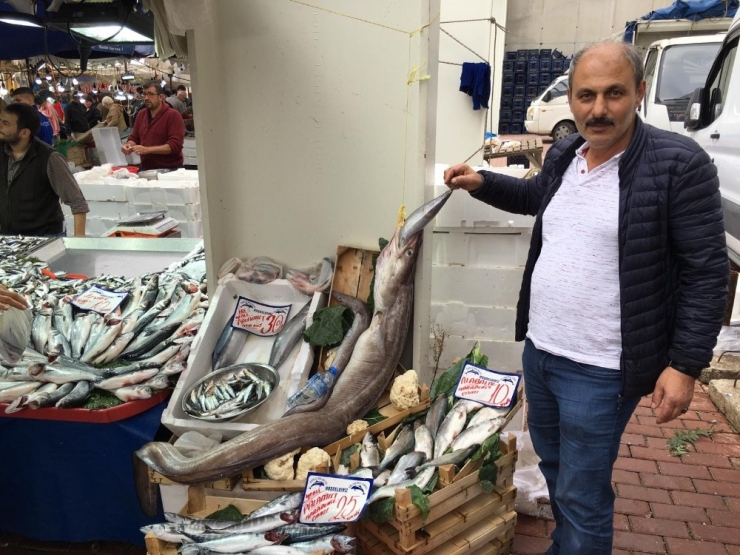 Balık Altından Hızlı Değerleniyor