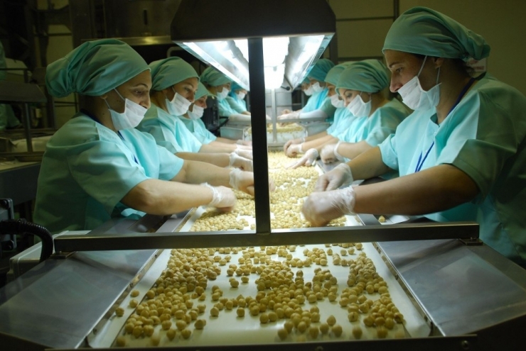 Avrupa’ya Dokuz Ayda Yaklaşık 8 Bin 392 Ton İç Fındık İhraç Edildi