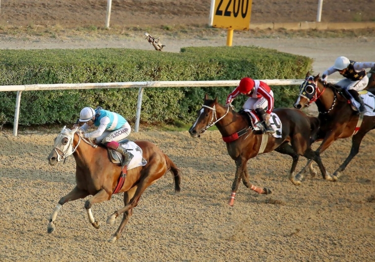 Eso Koşusu Gerçekleştirildi