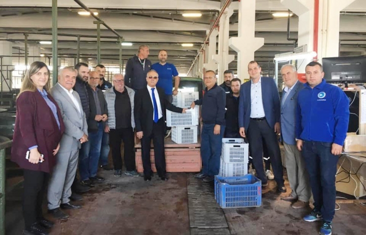 Erdek’te Zeytin Alım Kampanyası Başladı