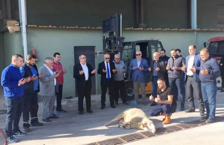 Erdek’te Zeytin Alım Kampanyası Başladı