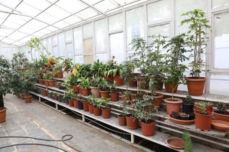 İlkadım Binlerce Çiçekle Renklenecek