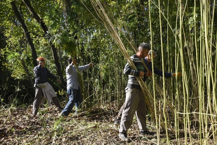 100 Metrekarelik Dükkanda İşlediği Keneviri Dünyaya Satıyor