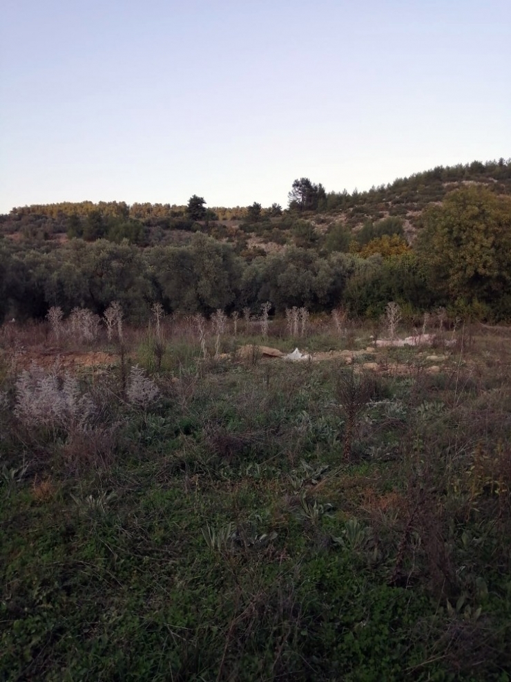 Kaçak Kazıcılara Köylü İhbarı