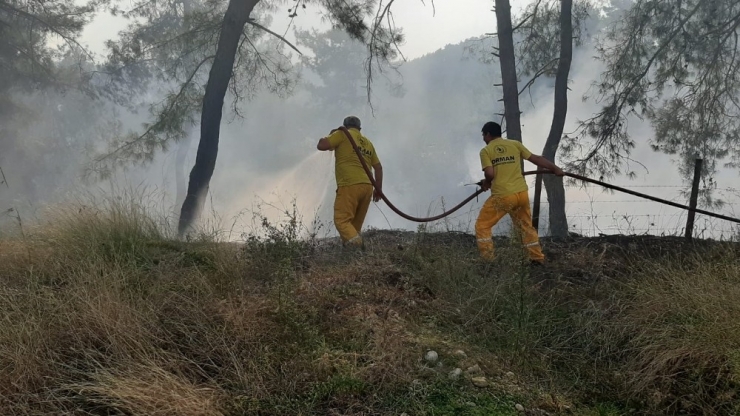 Osmaniye’de Çıkan Orman Yangınında 3 Hektar Alan Yandı