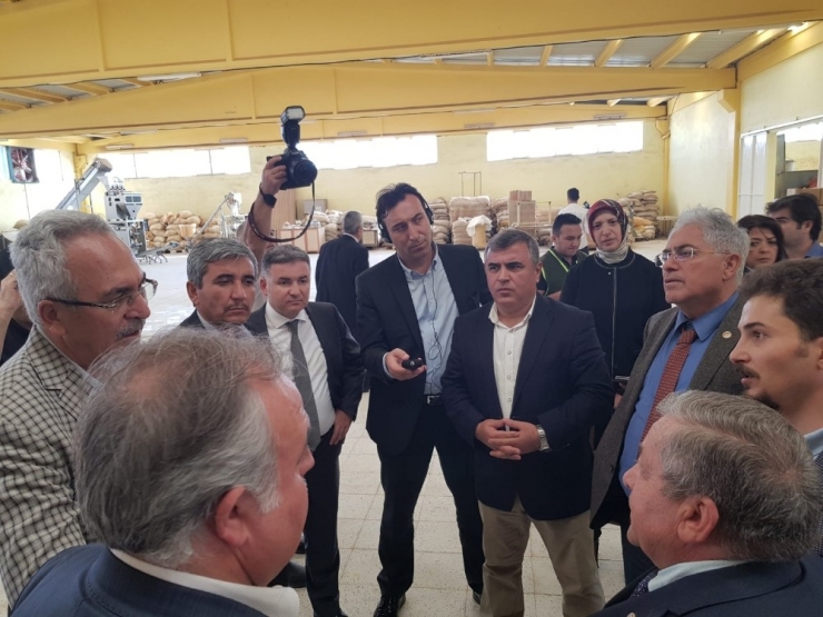 Mayınlı Alanlar Temizlenerek Tıbbi Bitkiler Üretimine Açılsın