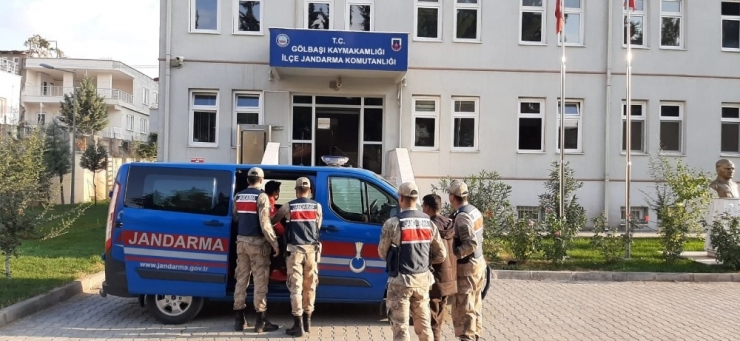 Düzensiz Göçmenler Yakalandı