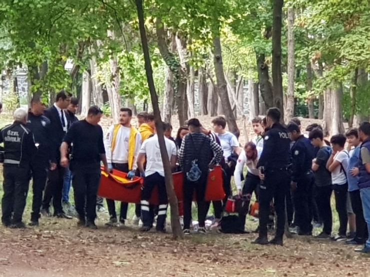 Ormanlık Alanda Öğrenciler Arasında Bıçaklı Kavga