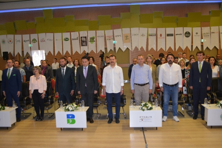 Avrupa Yolundaki Ayvalık Zeytinyağı Ab Tescili İçin Mücadele Ediyor