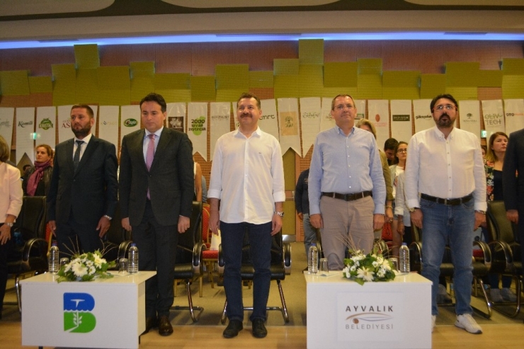 Avrupa Yolundaki Ayvalık Zeytinyağı Ab Tescili İçin Mücadele Ediyor