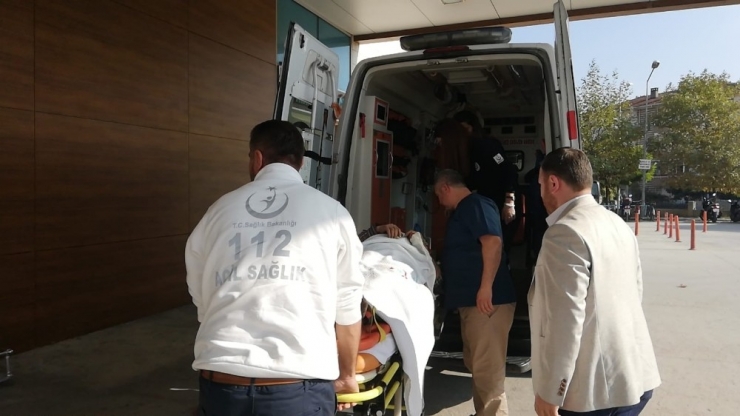 Kestiği Ağacın Altında Kalan Adam Yaralandı