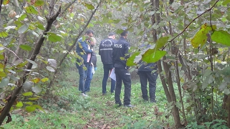 Fındık Bahçesinde Canına Kıydı