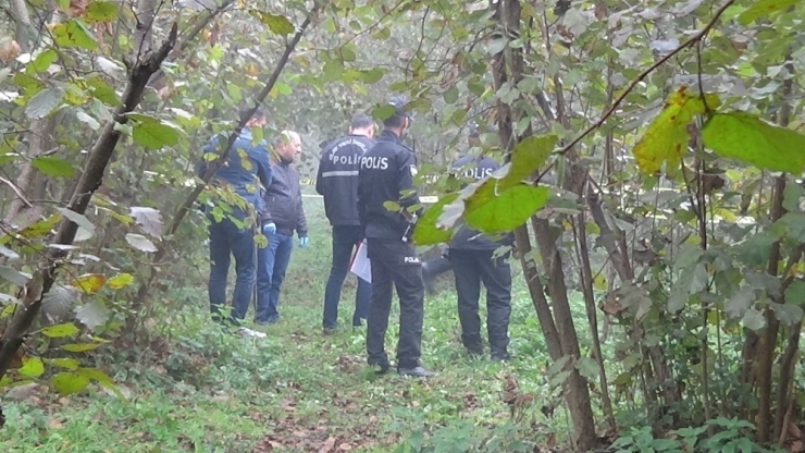 Fındık Bahçesinde Canına Kıydı