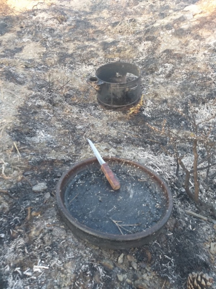 Eskişehir’de Orman Yangını