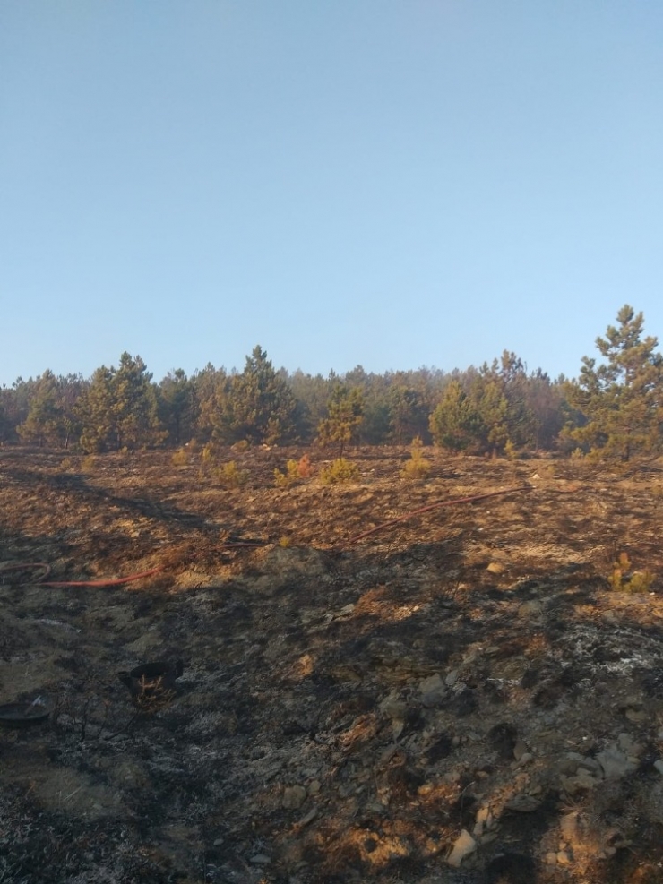 Eskişehir’de Orman Yangını