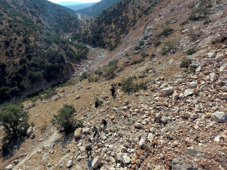 Jandarmadan Definecilere Suçüstü