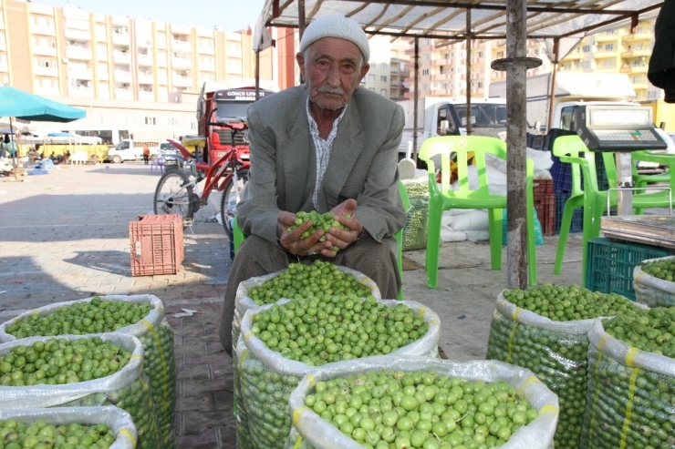 Zeytin Satıcıları Damlama Sulama Sisteminden Şikayetçi