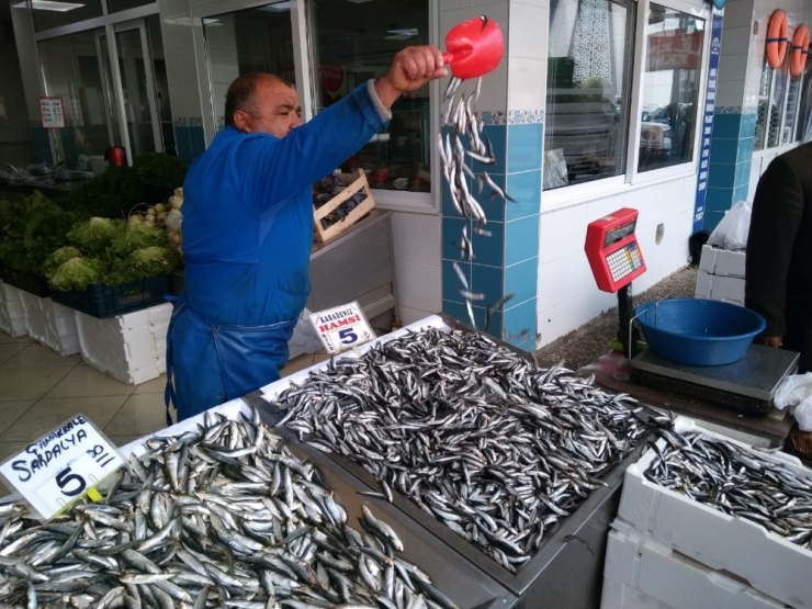 Yozgat’ta Hamsinin Kilosu 5 Liraya Düştü