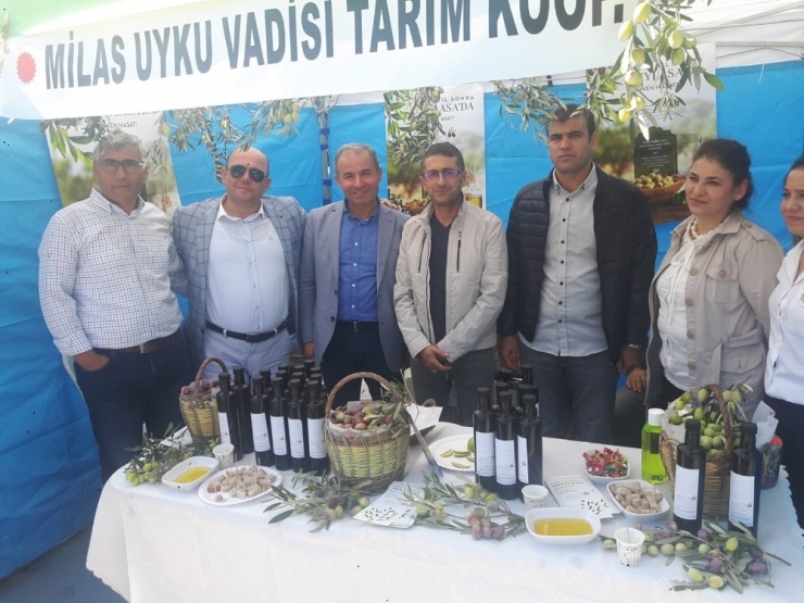 Milas Uyku Vadisi Tarım Kooperatifi İlk Tesisini Açıyor