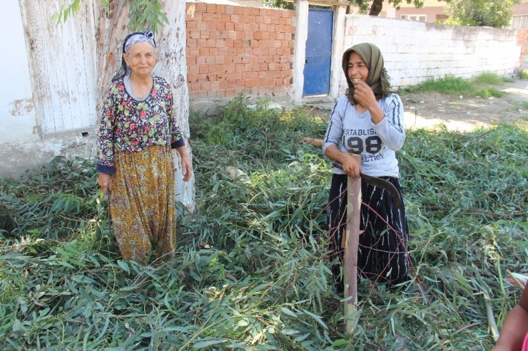 Aydın’da Kış Hazırlıkları Başladı