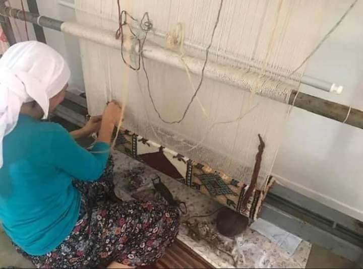 Milas Halıları Zeytin Hasat Şenliği’nde Yer Alacak