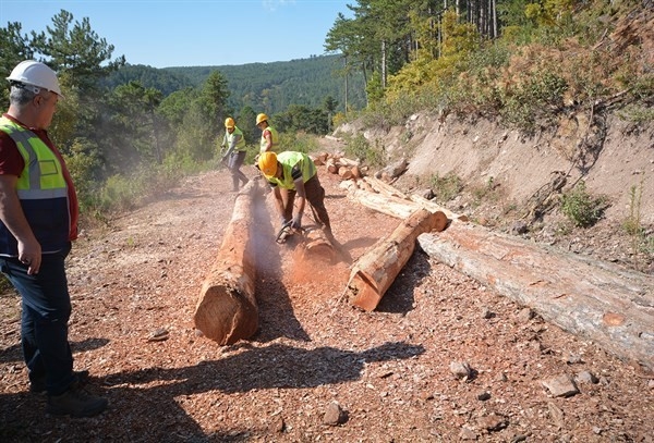 Orman Bölge Müdürü Keskin: "Üretimde Öncelik Kalitedir"