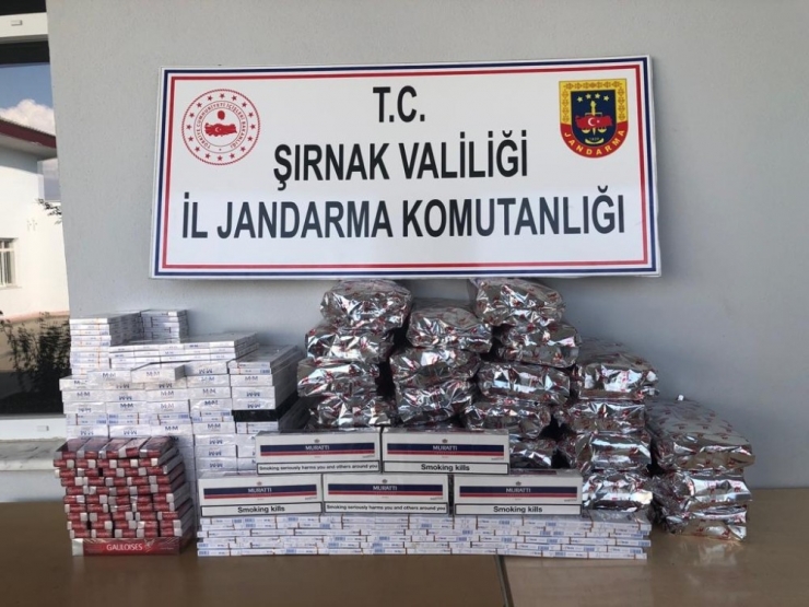 Şırnak’ta Uyuşturucu Ve Kaçakçılık Operasyonu: 40 Gözaltı