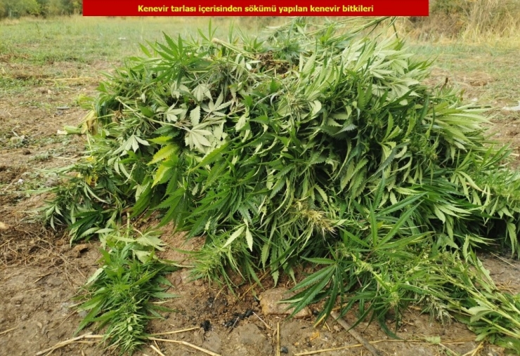 Diyarbakır’da Terörün Finans Kaynağına Darbe