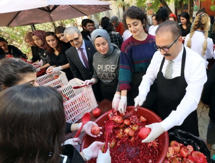 Gaün Geleneksel Nar Festivali Gerçekleştirildi