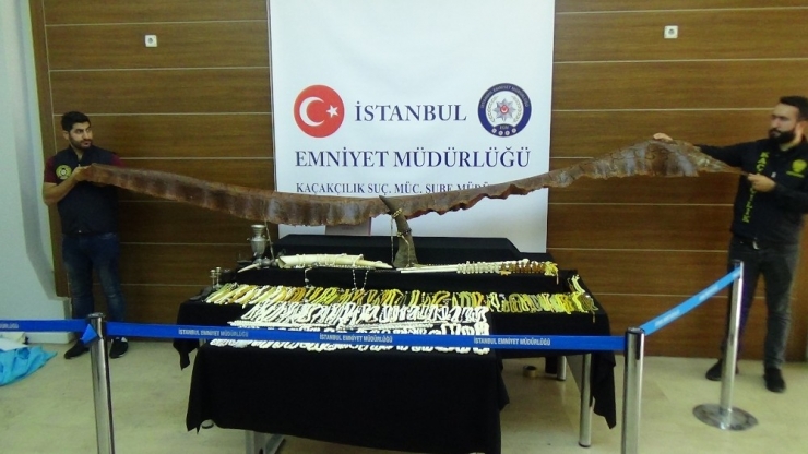 Kaçakçılık Operasyonunda Gergedan Boynuzu, Piton Yılanı Derisi Ve Fil Dişi Ele Geçirildi