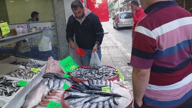 Karadenizli Balıkçılar Tüm Ümitlerini Hamsiye Bağladı