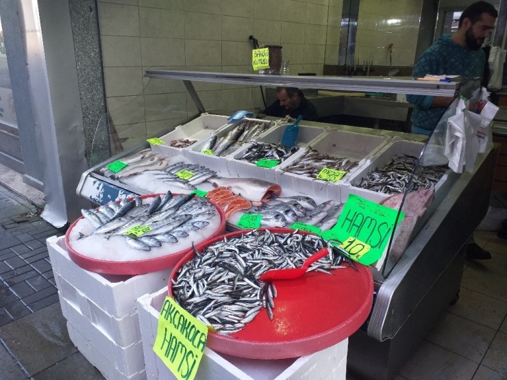 Karadenizli Balıkçılar Tüm Ümitlerini Hamsiye Bağladı