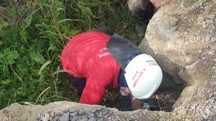 Menfez Borusuna Sıkışan Köpeği İtfaiye Kurtararak Elleriyle Besledi