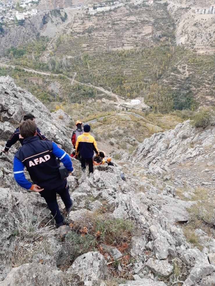 Dağda Mahsur Kalan Keçileri Afad Kurtardı