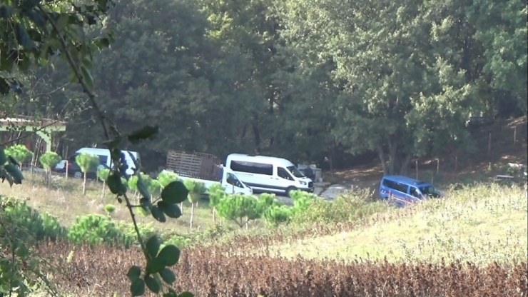 Babalık Davası İçin Mezar Açıldı