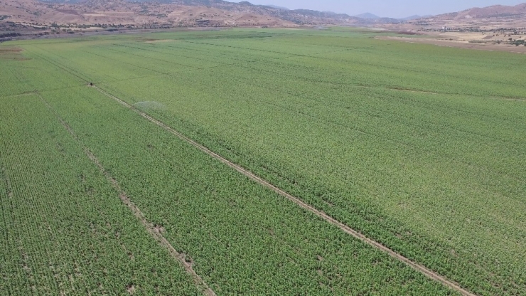 Tunceli’de 5 Bin 330 Dekar Tarım Arazisi Sulandı