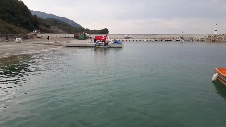 Cide’de Balıkçı Barınağında Sona Gelindi